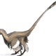 Illustration for article titled Lets Try to Settle This -- Are Birds Dinosaurs?